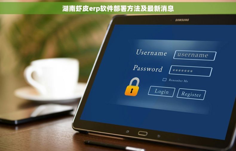 湖南虾皮erp软件部署方法及最新消息