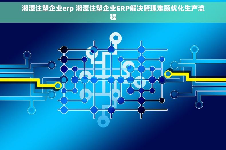 湘潭注塑企业erp 湘潭注塑企业ERP解决管理难题优化生产流程