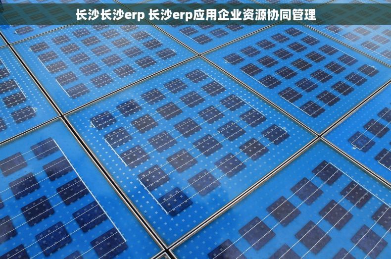 长沙长沙erp 长沙erp应用企业资源协同管理