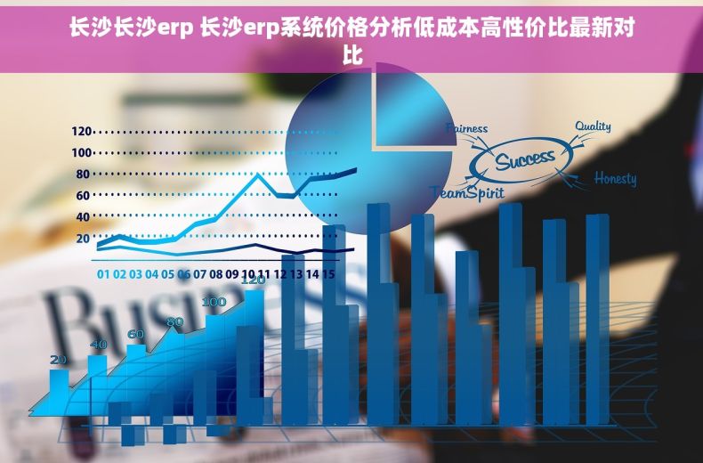 长沙长沙erp 长沙erp系统价格分析低成本高性价比最新对比