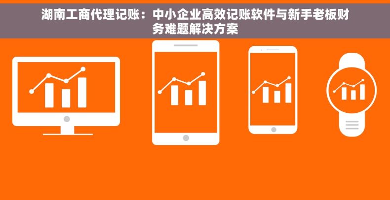 湖南工商代理记账：中小企业高效记账软件与新手老板财务难题解决方案