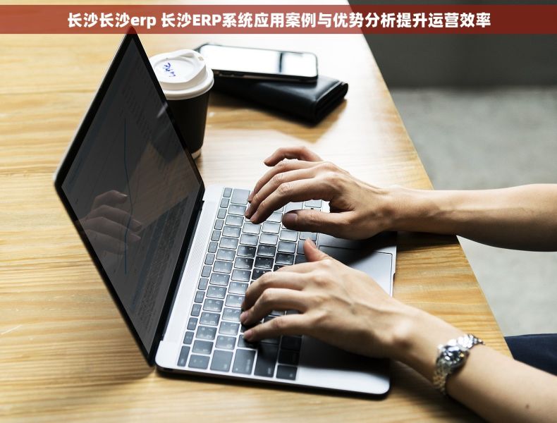 长沙长沙erp 长沙ERP系统应用案例与优势分析提升运营效率