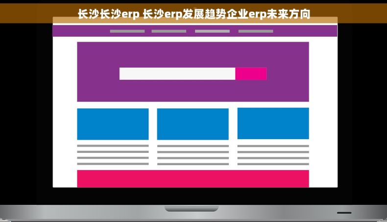 长沙长沙erp 长沙erp发展趋势企业erp未来方向