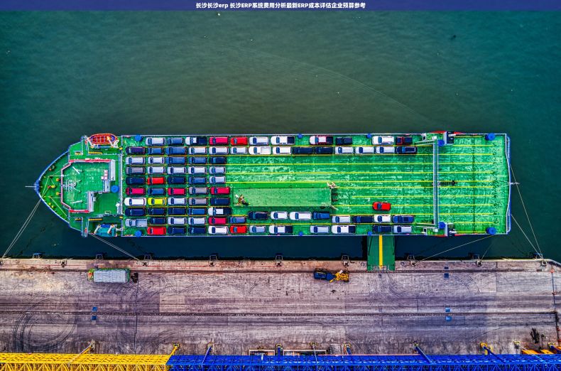 长沙长沙erp 长沙ERP系统费用分析最新ERP成本评估企业预算参考 长沙长沙erp 长沙ERP系统费用分析最新ERP成本评估企业预算参考