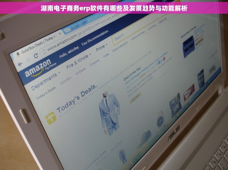 湖南电子商务erp软件有哪些及发展趋势与功能解析