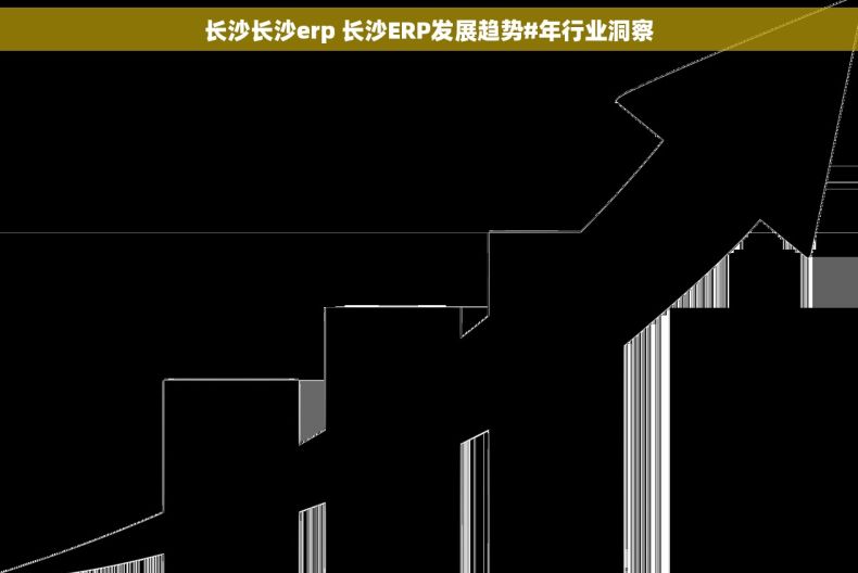 长沙长沙erp 长沙ERP发展趋势#年行业洞察