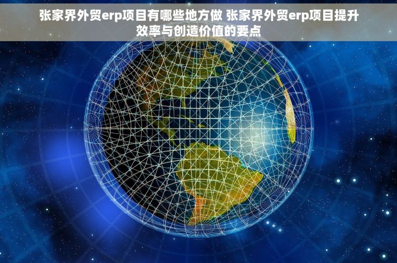 张家界外贸erp项目有哪些地方做 张家界外贸erp项目提升效率与创造价值的要点