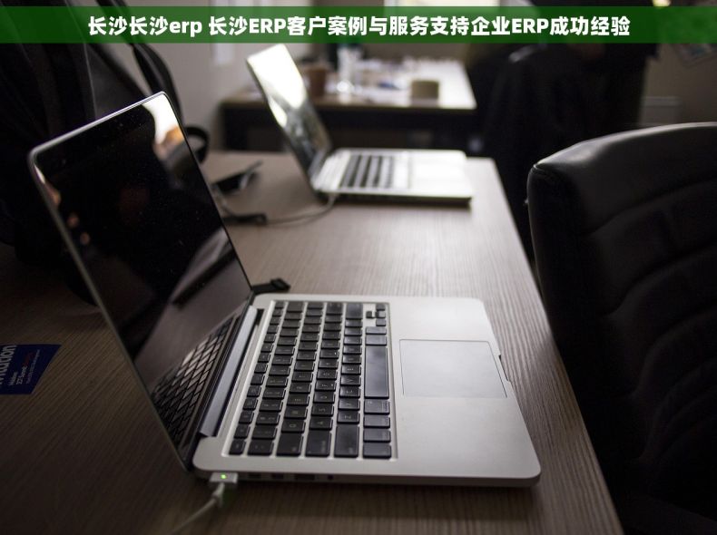 长沙长沙erp 长沙ERP客户案例与服务支持企业ERP成功经验