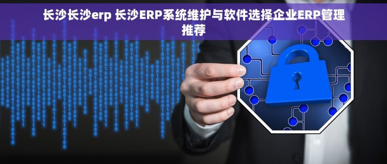 长沙长沙erp 长沙ERP系统维护与软件选择企业ERP管理推荐