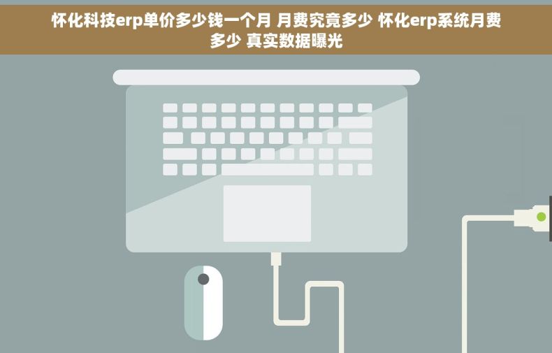 怀化科技erp单价多少钱一个月 月费究竟多少 怀化erp系统月费多少 真实数据曝光