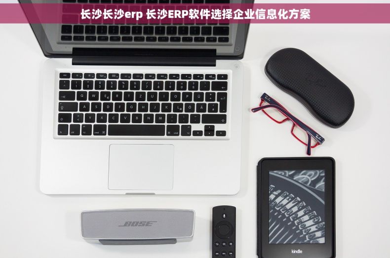 长沙长沙erp 长沙ERP软件选择企业信息化方案
