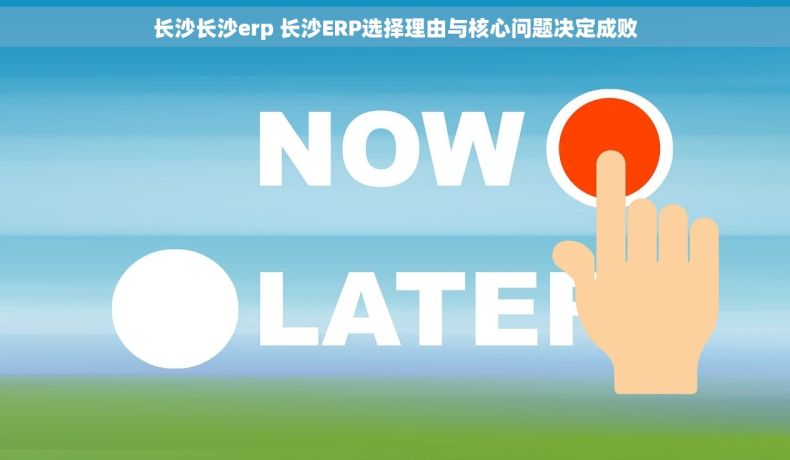 长沙长沙erp 长沙ERP选择理由与核心问题决定成败