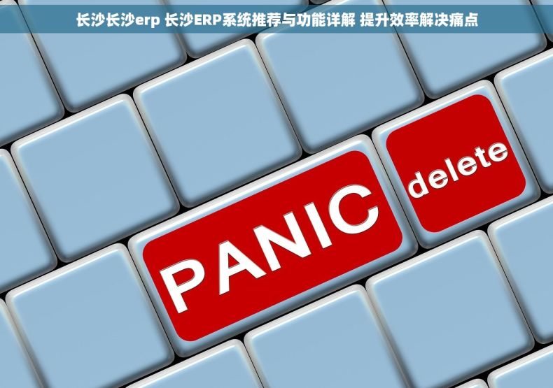 长沙长沙erp 长沙ERP系统推荐与功能详解 提升效率解决痛点