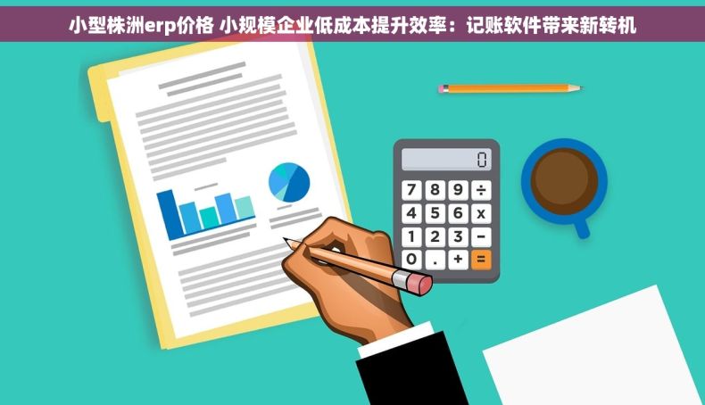 小型株洲erp价格 小规模企业低成本提升效率：记账软件带来新转机