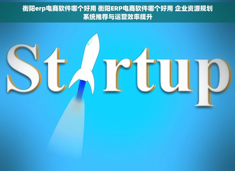 衡阳erp电商软件哪个好用 衡阳ERP电商软件哪个好用 企业资源规划系统推荐与运营效率提升