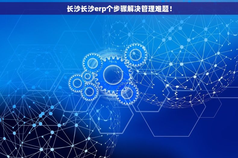 长沙长沙erp个步骤解决管理难题！