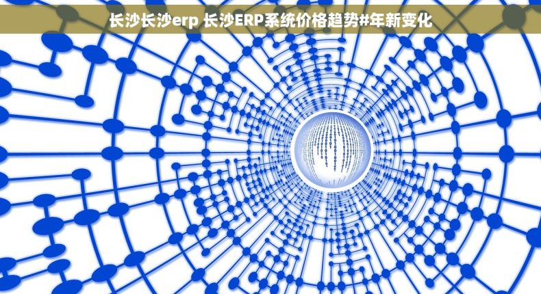 长沙长沙erp 长沙ERP系统价格趋势#年新变化