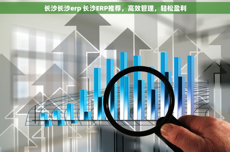 长沙长沙erp 长沙ERP推荐，高效管理，轻松盈利