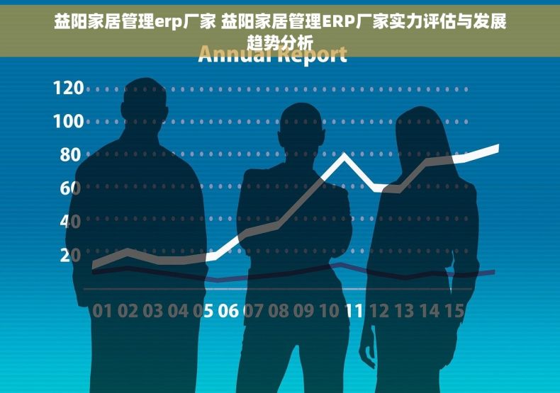 益阳家居管理erp厂家 益阳家居管理ERP厂家实力评估与发展趋势分析