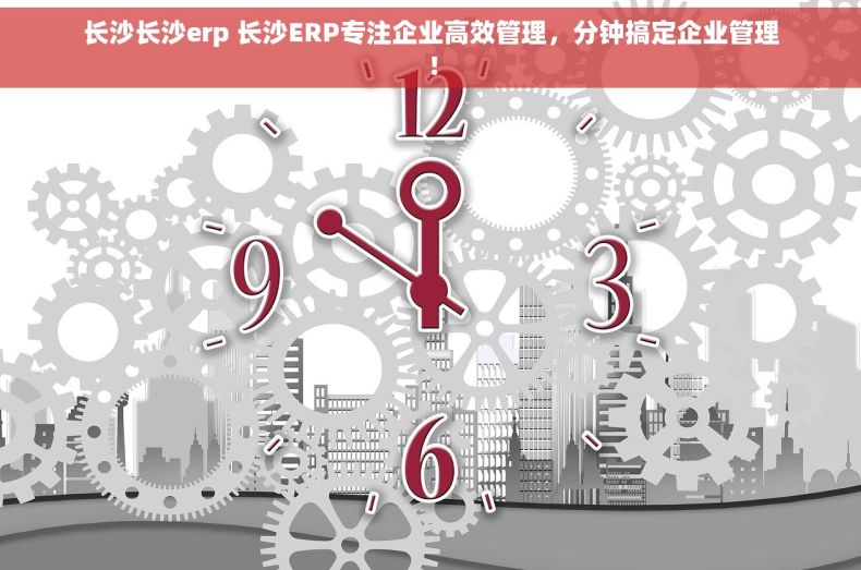 长沙长沙erp 长沙ERP专注企业高效管理，分钟搞定企业管理！
