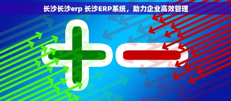 长沙长沙erp 长沙ERP系统，助力企业高效管理