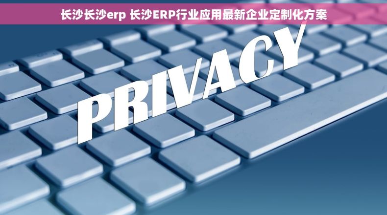 长沙长沙erp 长沙ERP行业应用最新企业定制化方案