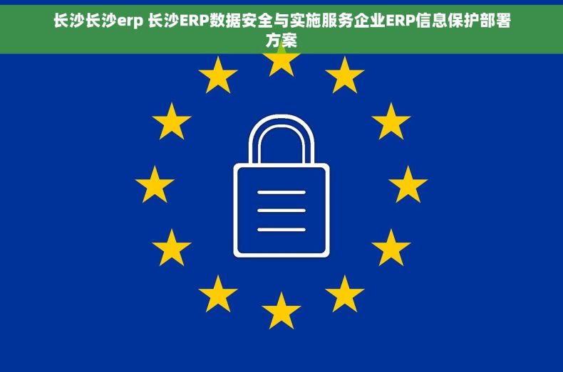 长沙长沙erp 长沙ERP数据安全与实施服务企业ERP信息保护部署方案