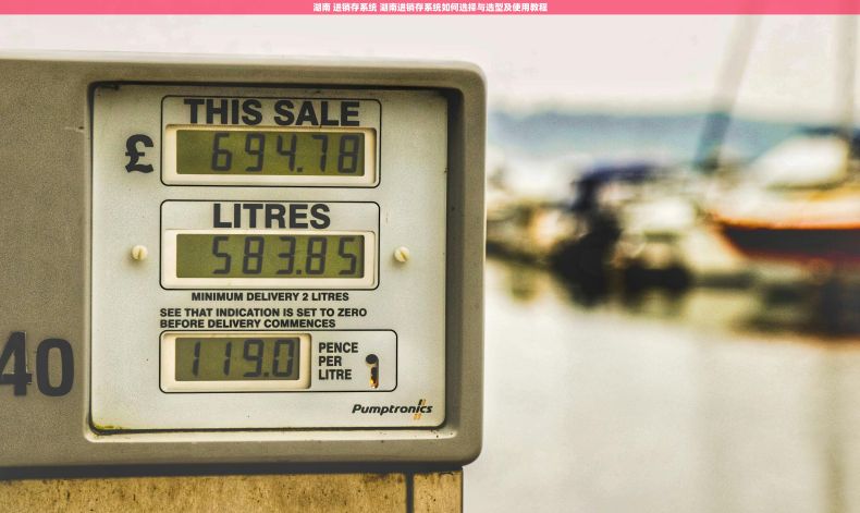 湖南 进销存系统 湖南进销存系统如何选择与选型及使用教程