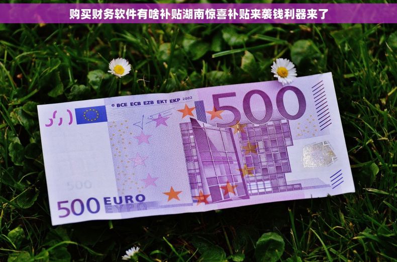 购买财务软件有啥补贴湖南惊喜补贴来袭钱利器来了