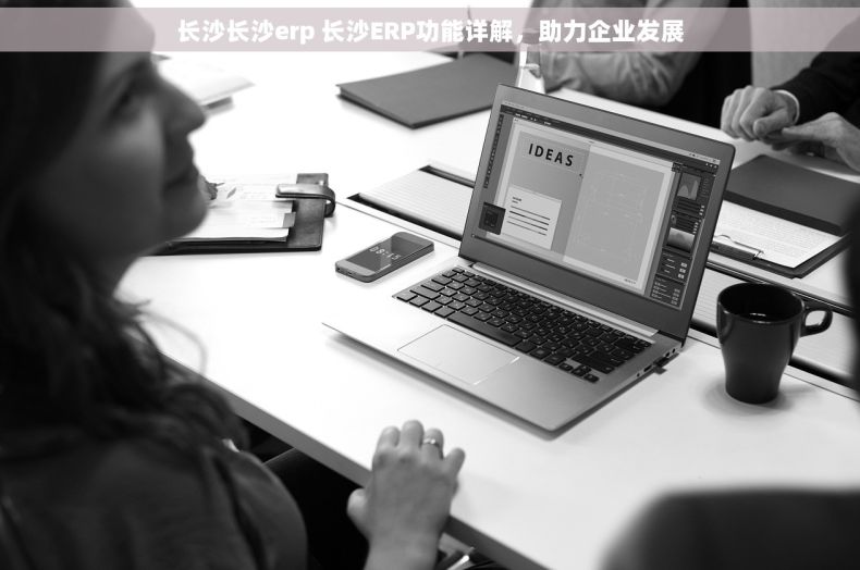 长沙长沙erp 长沙ERP功能详解，助力企业发展