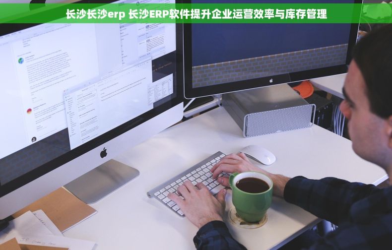 长沙长沙erp 长沙ERP软件提升企业运营效率与库存管理