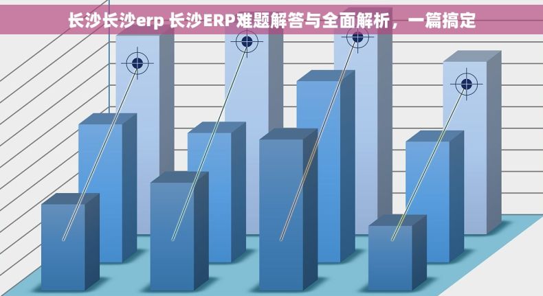 长沙长沙erp 长沙ERP难题解答与全面解析，一篇搞定
