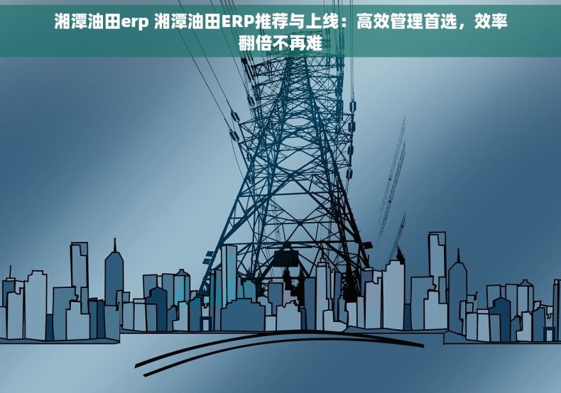 湘潭油田erp 湘潭油田ERP推荐与上线：高效管理首选，效率翻倍不再难