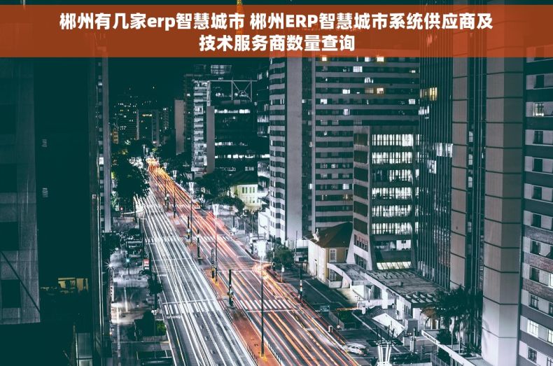 郴州有几家erp智慧城市 郴州ERP智慧城市系统供应商及技术服务商数量查询