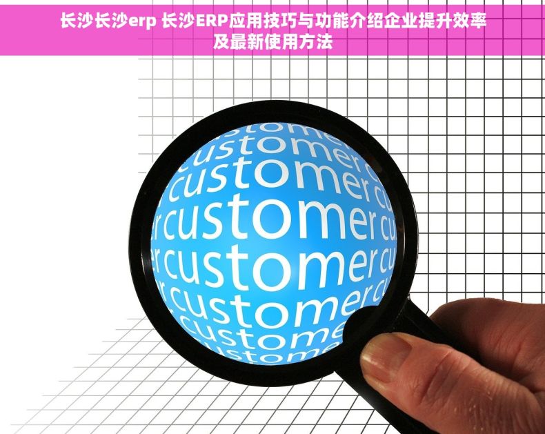 长沙长沙erp 长沙ERP应用技巧与功能介绍企业提升效率及最新使用方法