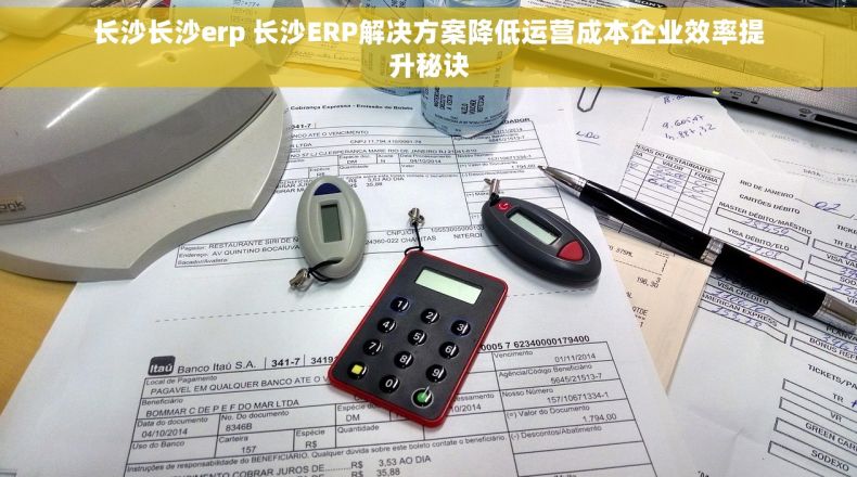 长沙长沙erp 长沙ERP解决方案降低运营成本企业效率提升秘诀