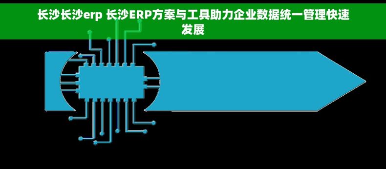 长沙长沙erp 长沙ERP方案与工具助力企业数据统一管理快速发展