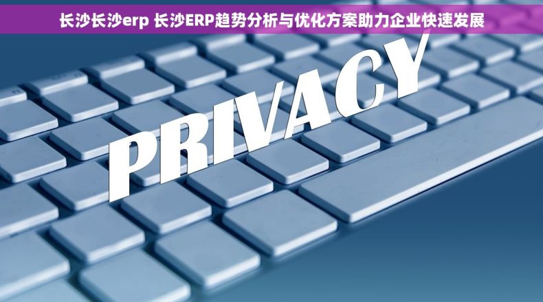 长沙长沙erp 长沙ERP趋势分析与优化方案助力企业快速发展