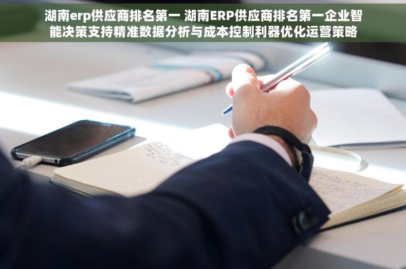 湖南erp供应商排名第一 湖南ERP供应商排名第一企业智能决策支持精准数据分析与成本控制利器优化运营策略
