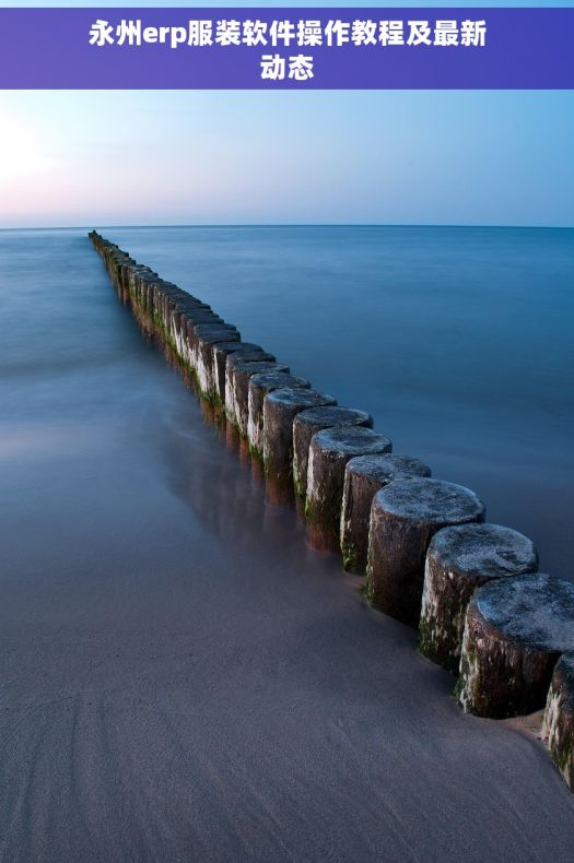 永州erp服装软件操作教程及最新动态