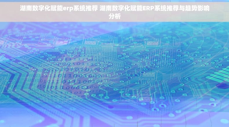 湖南数字化赋能erp系统推荐 湖南数字化赋能ERP系统推荐与趋势影响分析