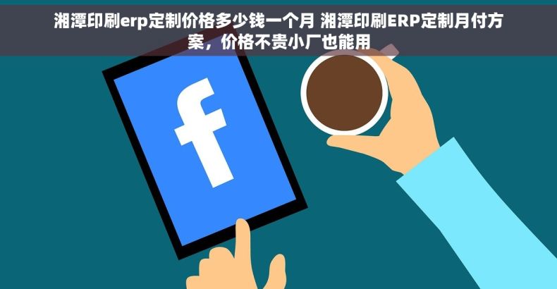湘潭印刷erp定制价格多少钱一个月 湘潭印刷ERP定制月付方案，价格不贵小厂也能用