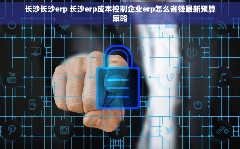 长沙长沙erp 长沙erp成本控制企业erp怎么省钱最新预算策略