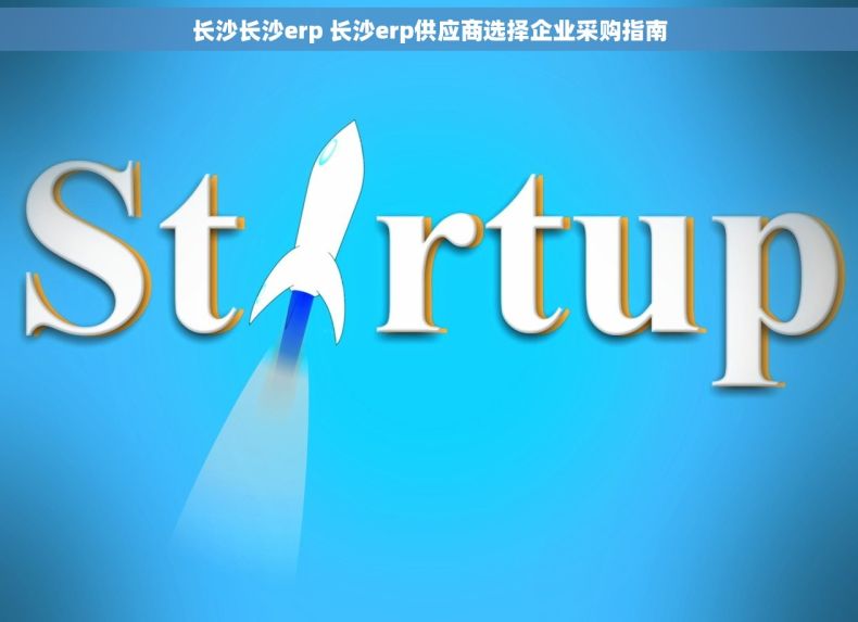长沙长沙erp 长沙erp供应商选择企业采购指南