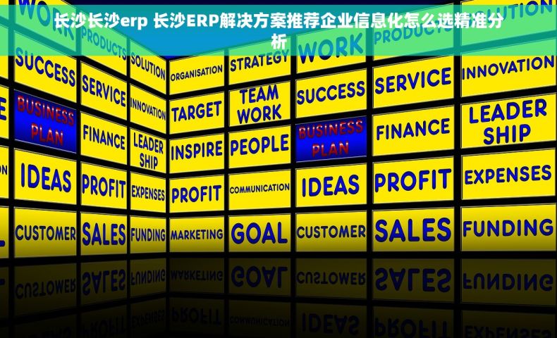 长沙长沙erp 长沙ERP解决方案推荐企业信息化怎么选精准分析