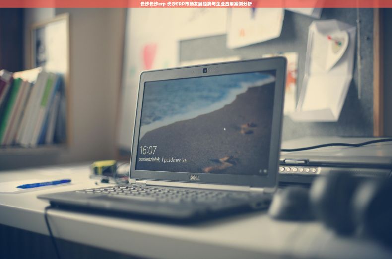 长沙长沙erp 长沙ERP市场发展趋势与企业应用案例分析