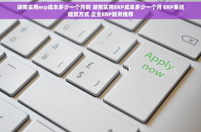 湖南实用erp成本多少一个月啊 湖南实用ERP成本多少一个月 ERP系统租赁方式 企业ERP服务推荐