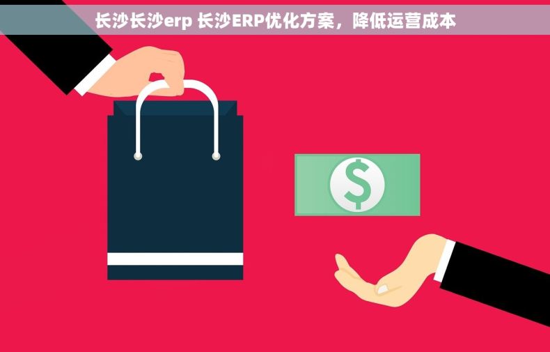 长沙长沙erp 长沙ERP优化方案，降低运营成本