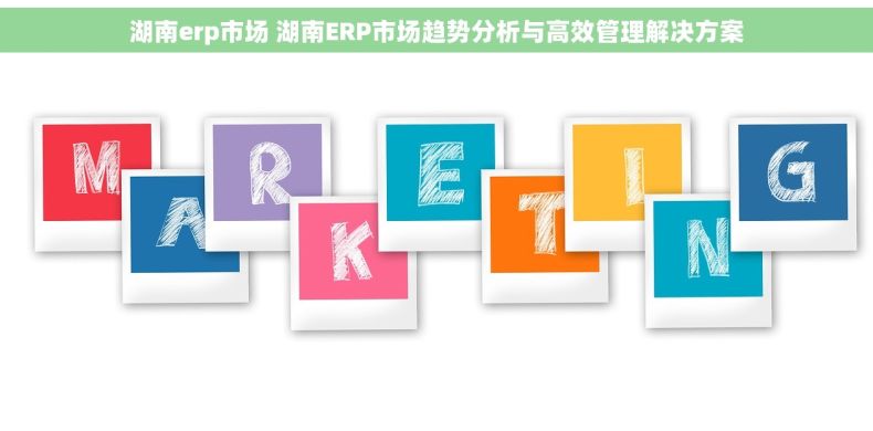 湖南erp市场 湖南ERP市场趋势分析与高效管理解决方案