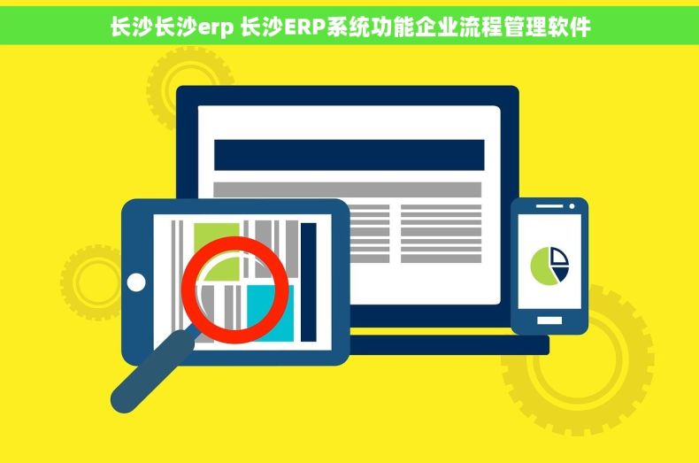 长沙长沙erp 长沙ERP系统功能企业流程管理软件
